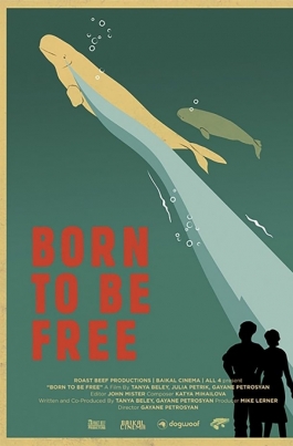 Рожденные свободнымиBorn to be free постер