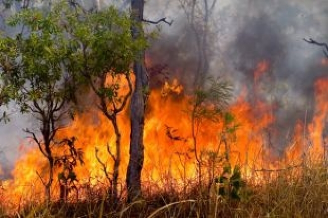Синоптики Самарской области прогнозируют чрезвычайную опасность возгорания лесов