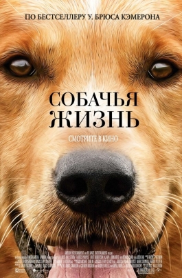 Собачья жизньA Dog's Purpose постер